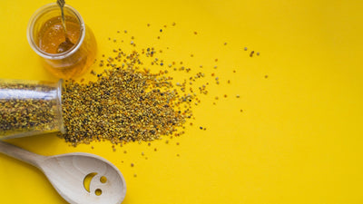 The Rich History and Flavor Profile of Dijon Mustard