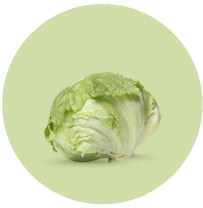 Lettuce & Salad Bags
