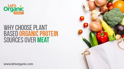 Why Choose Plant-Based Organic Protein Sources Over Meat