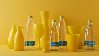 The Best San Bernardo Products You Can Order Online in UAE