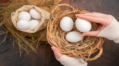 Advantages of Buying Organic Eggs: Why You Should Opt For Them