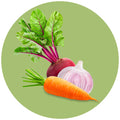 Buy Fresh Organic Carrots & Roots Online In UAE