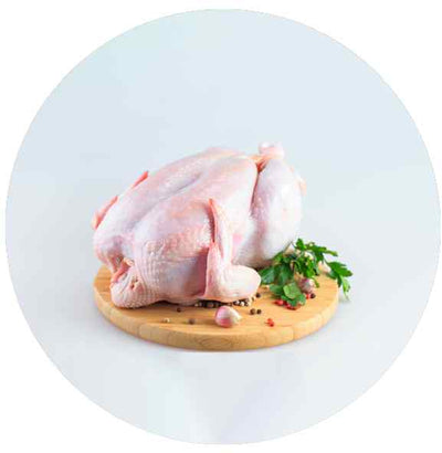 Fresh Chicken