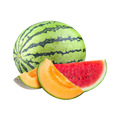 Buy Fresh Organic Melons and Water Melon Online