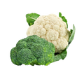 Buy Fresh Organic Broccoli & Cauliflower Online In UAE