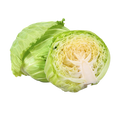 Cabbage
