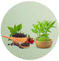 Buy Organic Tea & Coffee Online In UAE