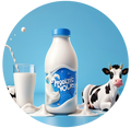 Buy Fresh Organic Cow Milk Online In UAE