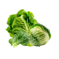 Buy Fresh Organic Salad & Greens Online In UAE
