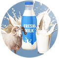 Buy Organic Goat Milk Online In UAE