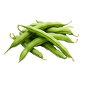 Beans