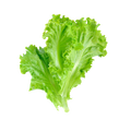 Leafy Green