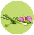 Buy Fresh Organic Onions & Leeks Online In UAE