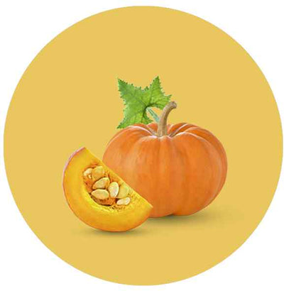 Pumpkin