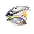 Buy Fresh Organic Sea Food Online In UAE 