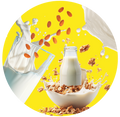Buy Organic Vegan Products Online In UAE