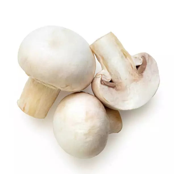 Organic Fresh Mushroom White