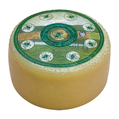 Organic Cow Milk Caciotta Cheese
