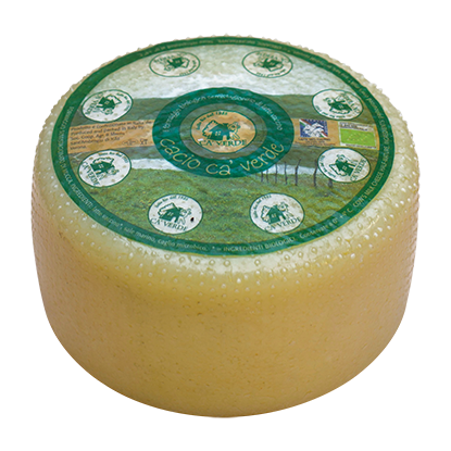 Organic Cow Milk Caciotta Cheese