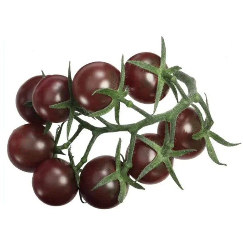 Organic Tomato Cherry Chocolate