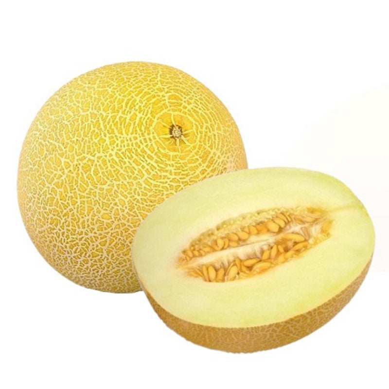 Organic Fresh Sweet Melon