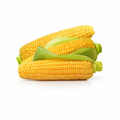 Organic Cooked Sweetcorn 2Pc