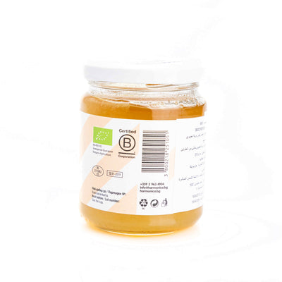 Organic Wild Flower Honey 310G