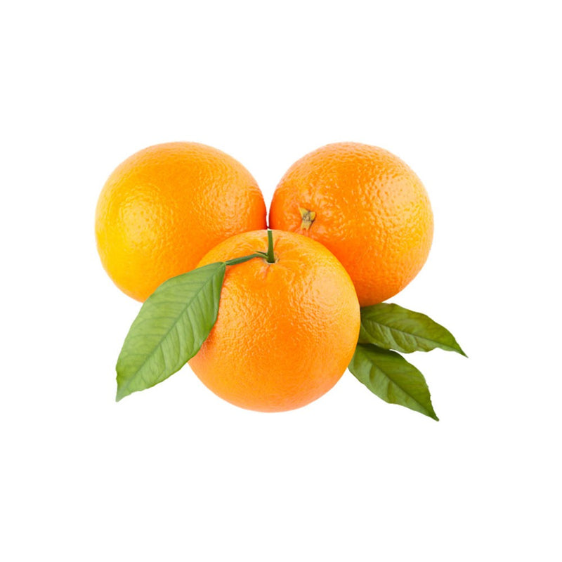 Organic Fresh Orange Valencia
