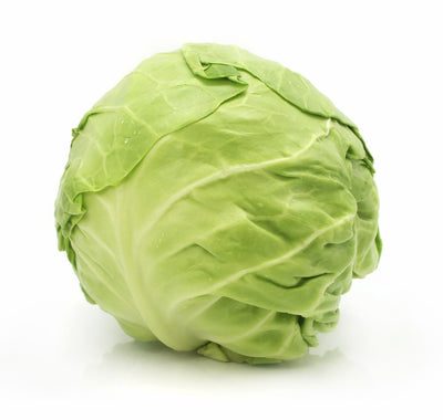 Organic Fresh Cabbage White