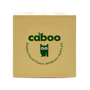 Organic Cube Facial Tissue 60ct 3 Ply image 1