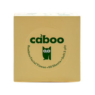 Organic Cube Facial Tissue 60ct 3 Ply image 1