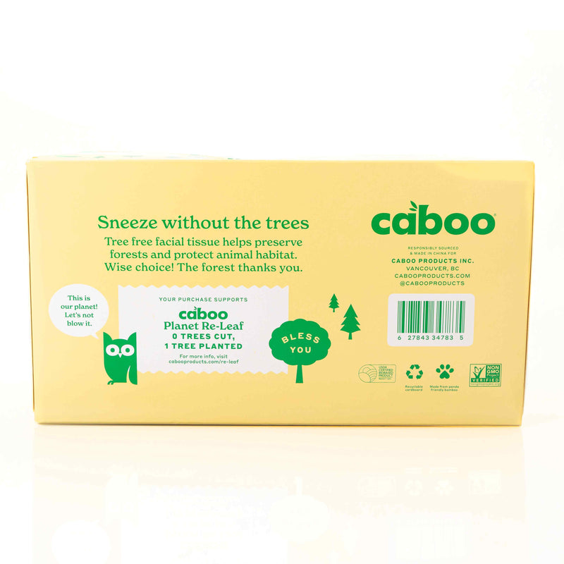 Organic Facial Tissue Flat Box 184 Sheet