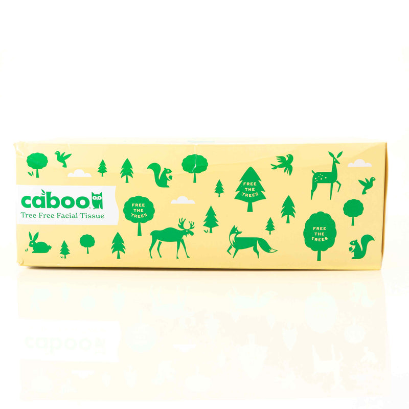 Organic Facial Tissue Flat Box 184 Sheet