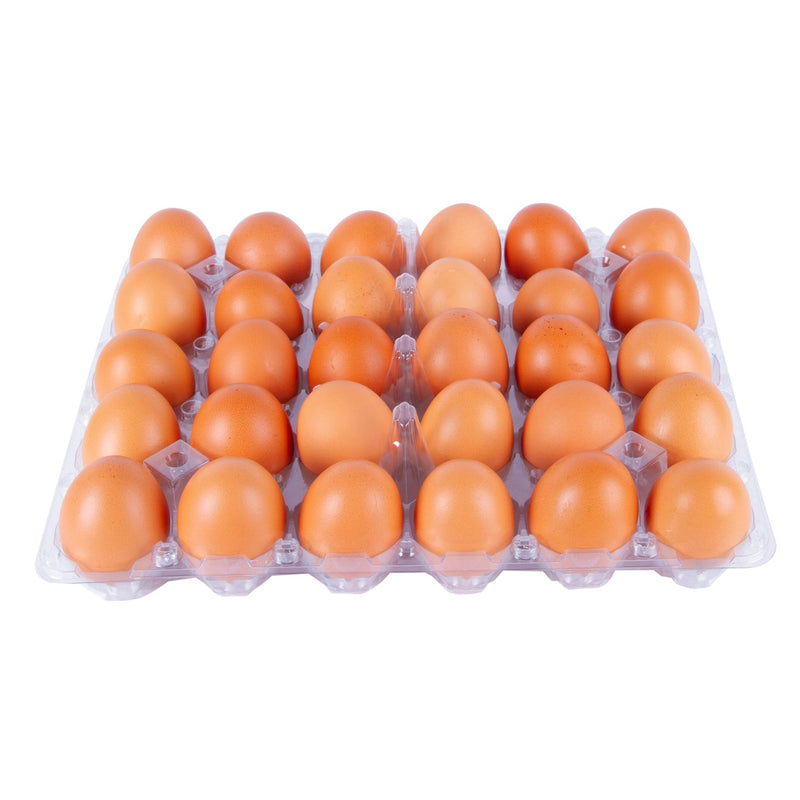 Organic Egg Medium 30&