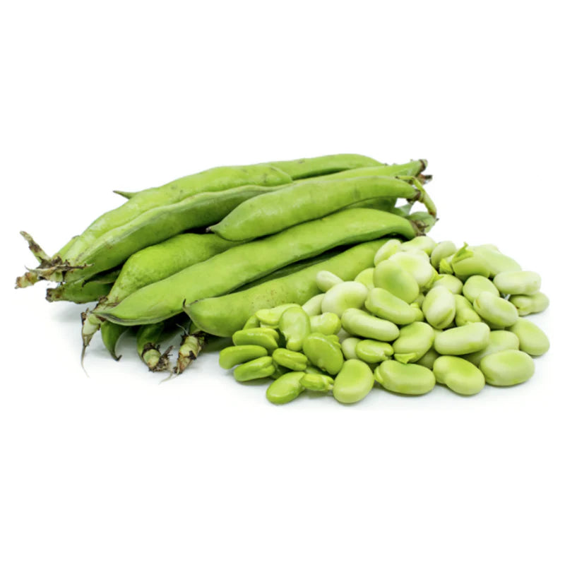 Organic Fresh Broad Beans