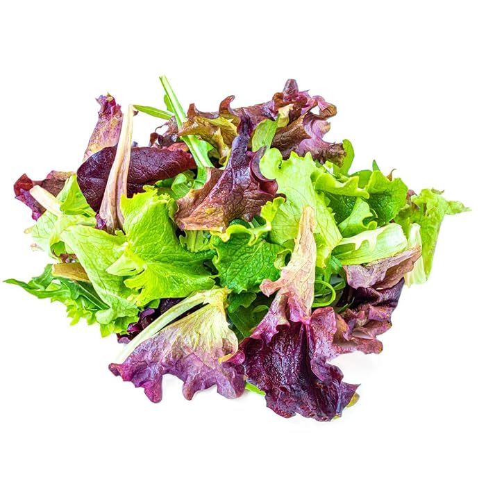 Organic Fresh Lettuce Mix 100G