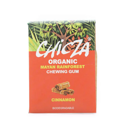 Organic Cinnamon Chewing Gum 30G