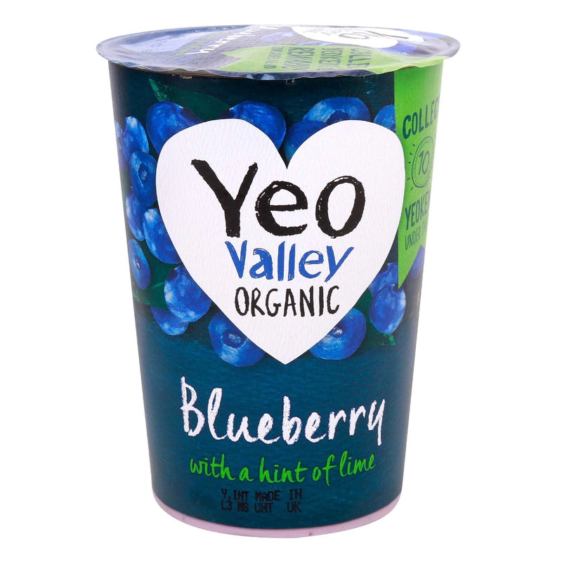 Organic Fat Free Blueberry Yoghurt 450g