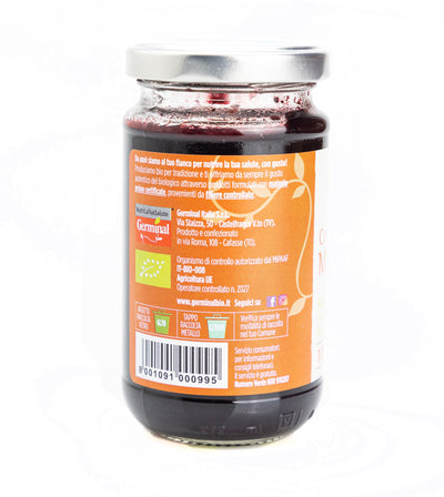 Organic Blueberry Compote 200g