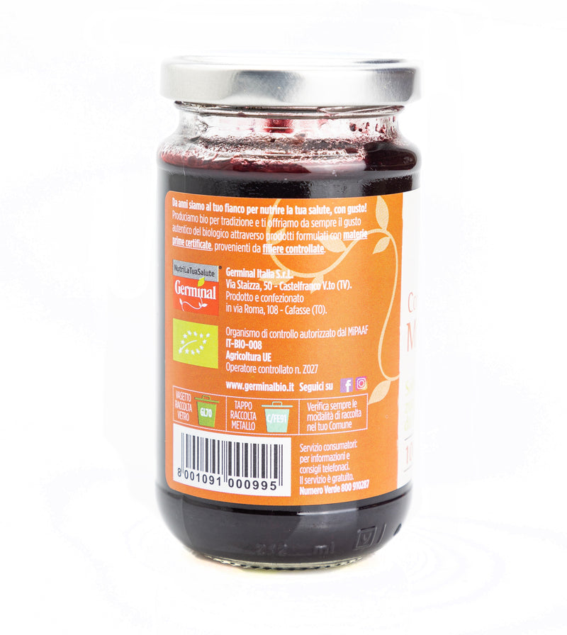 Organic Blueberry Compote 200g