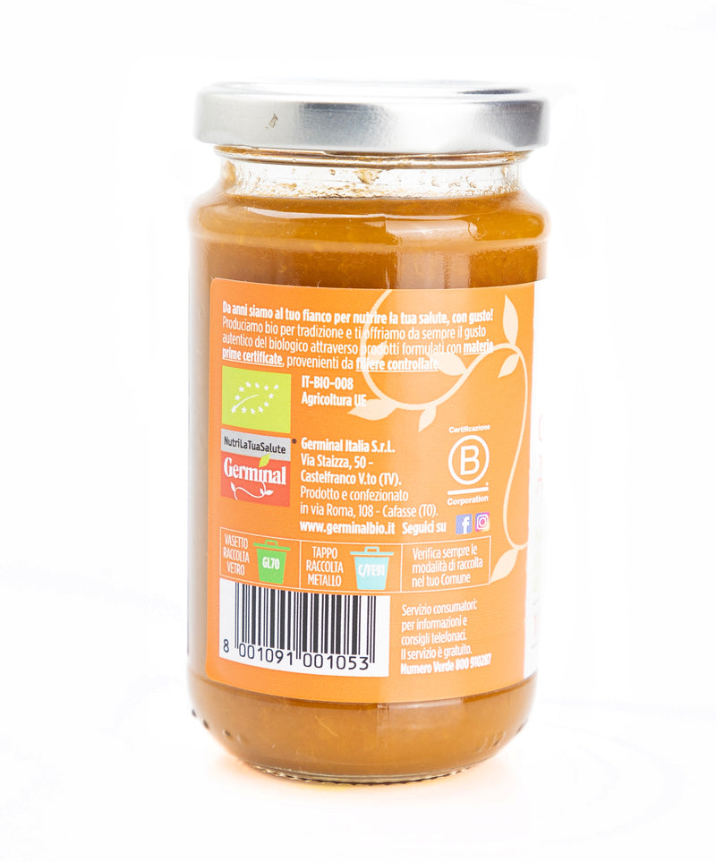 Organic Apricot Compote 200g