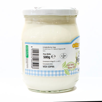Organic Natural Yogurt 500g