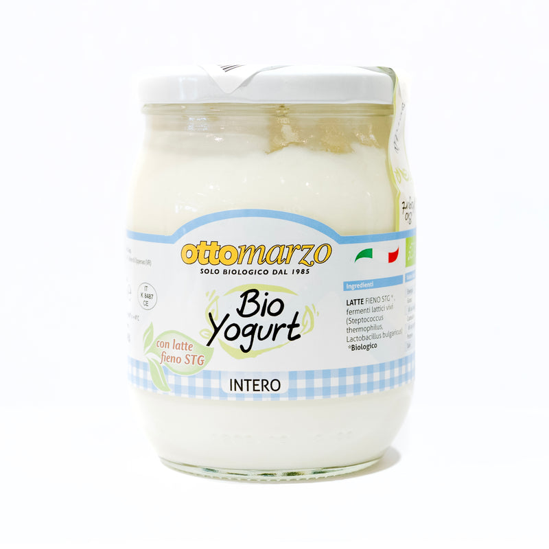 Organic Natural Yogurt 500g
