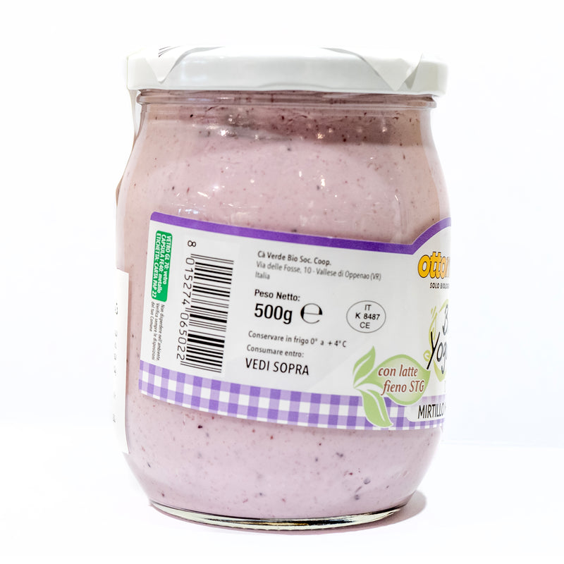 Organic Blueberry Yogurt 0.1% Fat 500g