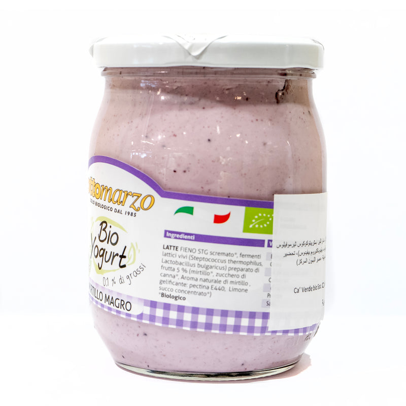 Organic Blueberry Yogurt 0.1% Fat 500g