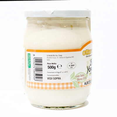 Organic Apricot Yogurt 0.1% Fat 500g