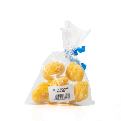 Organic 5 Small Sea Sponge Set