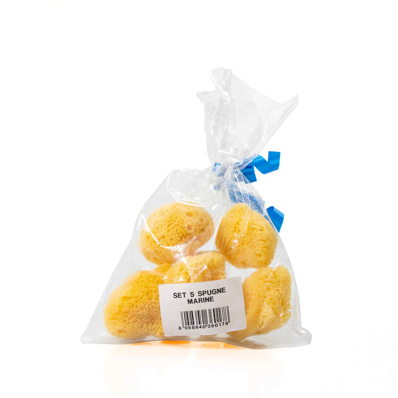 Organic 5 Small Sea Sponge Set