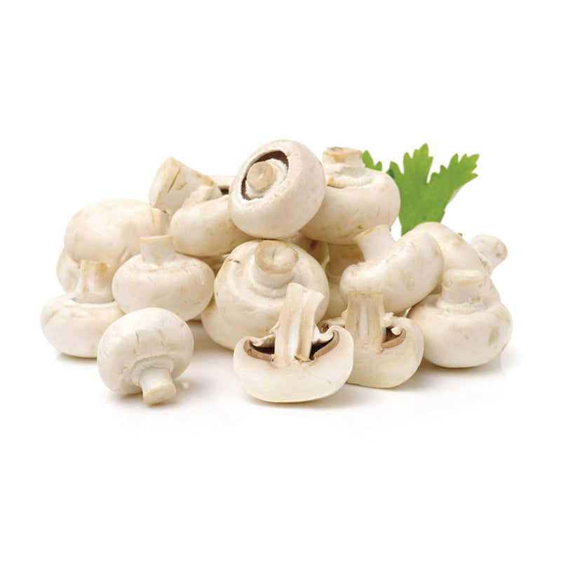 Organic Fresh Mushroom White