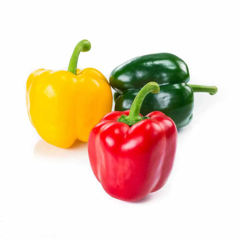 Organic Capsicum Mix Pack
